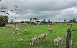 8 ha Farm in Gedults River