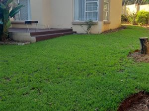 3 Bed Cluster in Bromhof