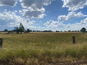4.3 ha Land available in Bloemspruit