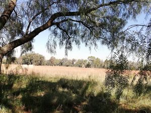 4.4 ha Land available in Meyerton Central