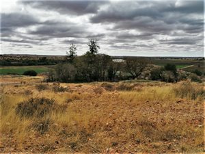 1.3 ha Farm in Upington