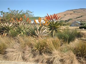 343 m² Land available in Vulintaba Country Estate