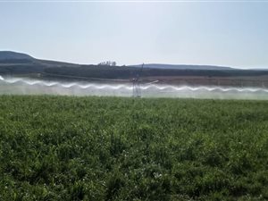 174 ha Farm in Umzinto