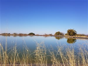 468 ha Farm in Modimolle
