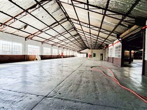 3680 m² Industrial space in Middelburg Central
