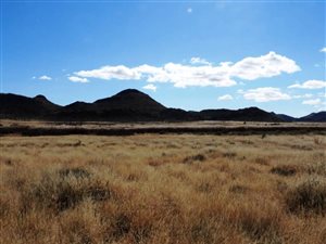 1 m² Farm in Philippolis