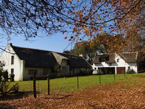 48.8 ha Smallholding in Currys Post
