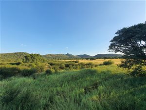 7000 m² Farm with House in Rustenburg North