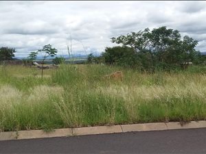 1412 m² Land available in Reservoir Hill