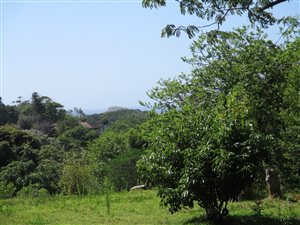 3847 m² Land available in Umtentweni