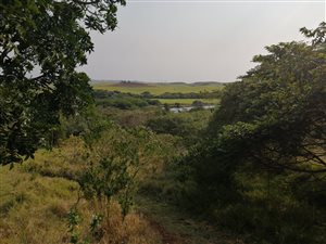 1695 m² Land available in Mtunzini