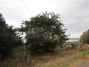 1922 m² Land available in Sezela