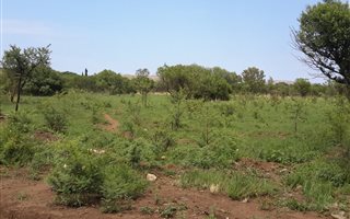 2.1 ha Land available in Vrede