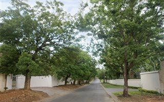 5 Bedroom House in Bryanston