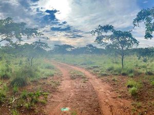 90 ha Farm in Modimole (Nylstroom)