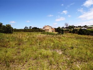 1900 m² Land available in Schoongezicht