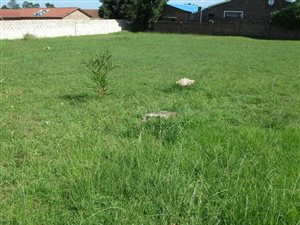900 m² Land available in Humansdorp