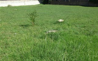 900 m² Land available in Humansdorp