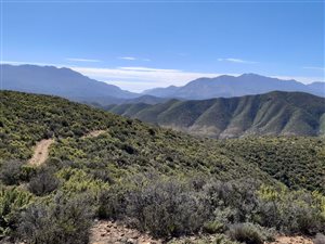 Game Farm in Calitzdorp