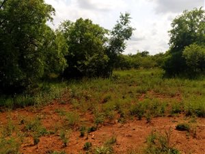 1287 m² Land available in Hazeldean (Silverlakes Surroundings)