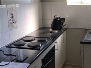 1 Bedroom Apartment in Arcadia