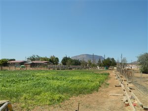 3.7 ha Farm in Vanrhynsdorp