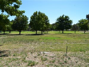501 m² Land available in Ceres