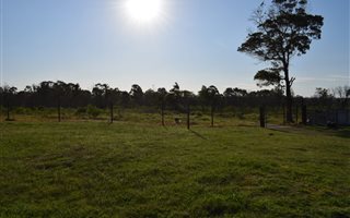 9.9 ha Farm in Greenbushes AH