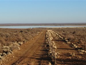 11360 ha Farm in Brandvlei