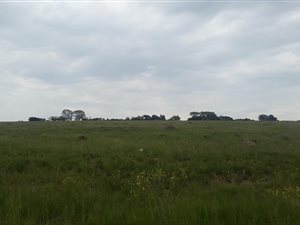 8.5 ha Land available in Muldersdrift