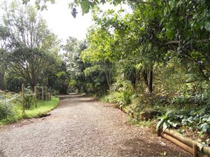 4 Bed House in Winterskloof