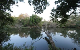 21 ha Farm in Hoedspruit