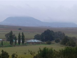 291 m² Farm in Bethlehem