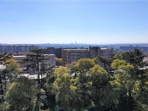 1 Bed Apartment in Houghton Estate