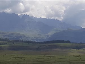 1048 m² Land available in Cathkin Park