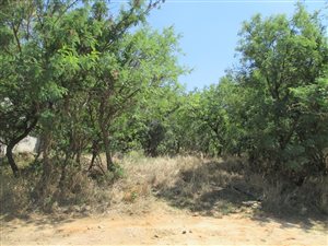 1.1 ha Land available in Leeuwfontein