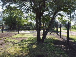 745 m² Land available in Fouriesburg