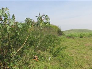 1725 m² Land available in La Mercy