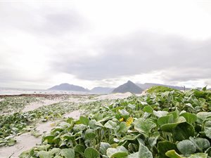 707 m² Land available in Kommetjie