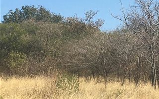 1725 m² Land available in Kampersrus AH