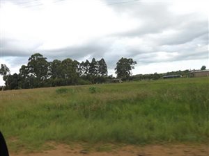 2855 m² Land available in Belfast