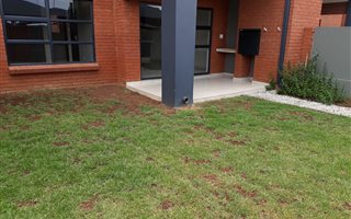 2 Bedroom Apartment in Eveleigh