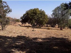 1.5 ha Land available in Glenferness AH