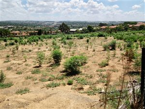 2184 ha Land available in Craigavon