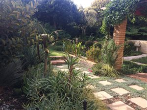1 Bed Garden Cottage in Brandwacht