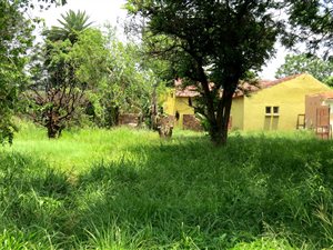 1.6 ha Farm in Bela-Bela (Warmbaths)