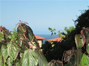 1100 m² Land available in Zinkwazi Beach