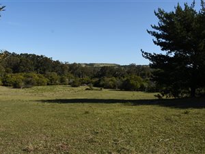 11.5 ha Land available in Kragga Kamma