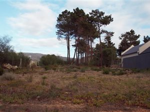 595 m² Land available in Bot River
