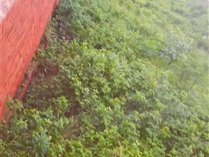 900 m² Land available in Metcalfe Park
